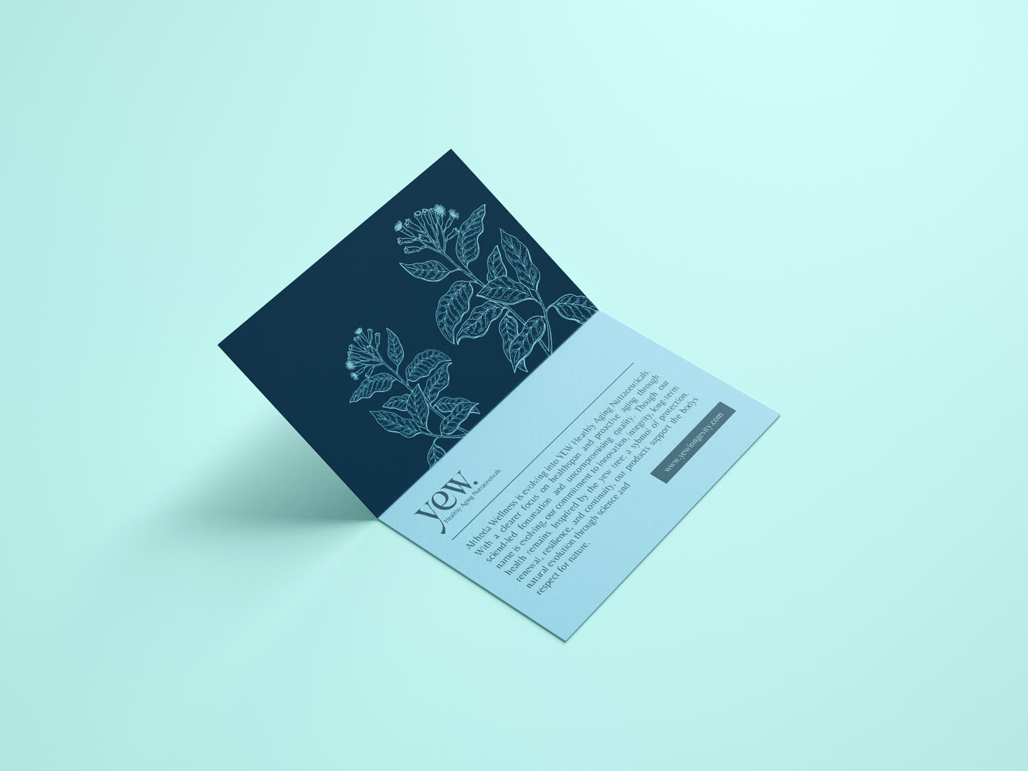 YEW brand story card
